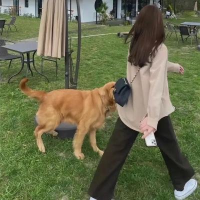 上帝的考验
